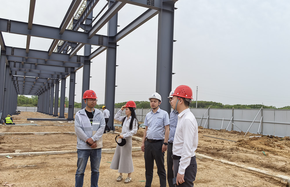 2025年度项目管理工作日常 